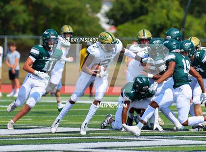 Thumbnail 1 in Longwood @ William Floyd photogallery.