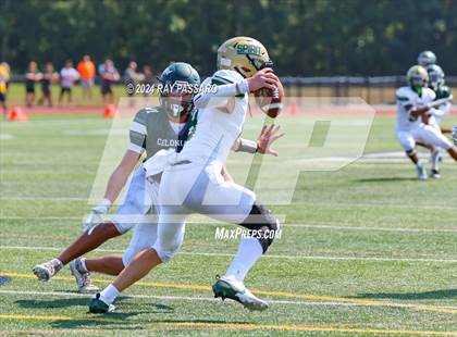 Thumbnail 1 in Longwood @ William Floyd photogallery.