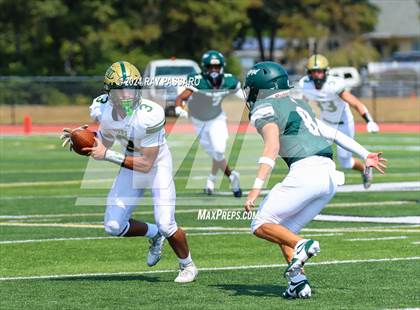 Thumbnail 1 in Longwood @ William Floyd photogallery.