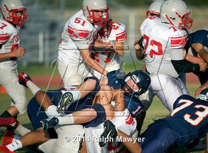 Thumbnail 1 in Judson @ Brandeis photogallery.