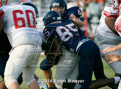 Thumbnail 1 in Judson @ Brandeis photogallery.