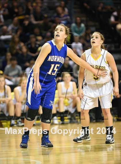 Thumbnail 2 in Norwood vs. Caliche (CHSAA 1A Final) photogallery.