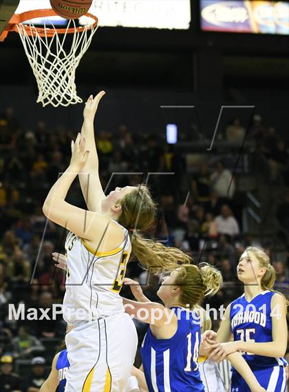 Thumbnail 3 in Norwood vs. Caliche (CHSAA 1A Final) photogallery.