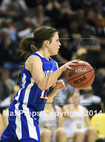 Thumbnail 1 in Norwood vs. Caliche (CHSAA 1A Final) photogallery.