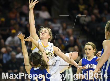 Thumbnail 2 in Norwood vs. Caliche (CHSAA 1A Final) photogallery.
