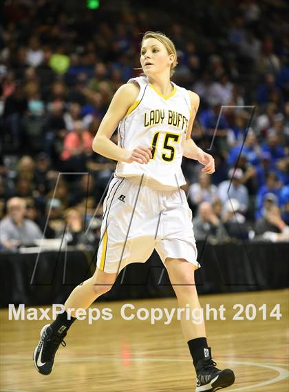 Thumbnail 1 in Norwood vs. Caliche (CHSAA 1A Final) photogallery.