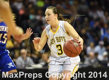 Thumbnail 3 in Norwood vs. Caliche (CHSAA 1A Final) photogallery.