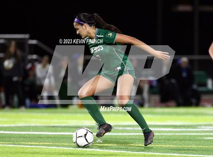 Thumbnail 1 in O'Connor @ Sunnyslope photogallery.