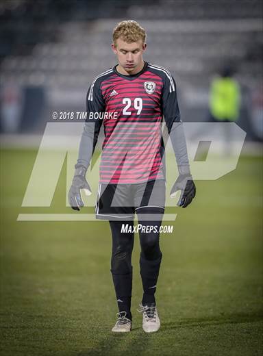 null - Photo 01