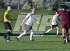 Photo from the gallery "Conifer @ Golden"
