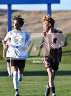 Photo from the gallery "Conifer @ Golden"