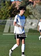 Photo from the gallery "Conifer @ Golden"