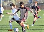 Photo from the gallery "Conifer @ Golden"