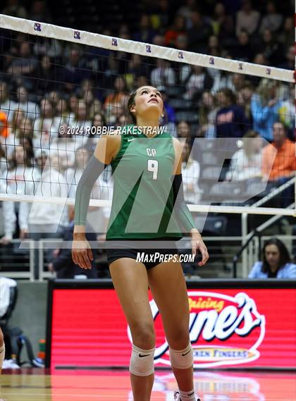 Thumbnail 3 in Cedar Park @ Wakeland (UIL 5A Volleyball Division II Final) photogallery.