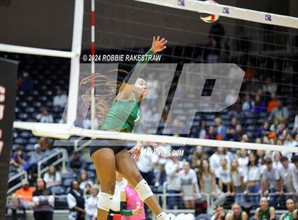 Thumbnail 3 in Cedar Park @ Wakeland (UIL 5A Volleyball Division II Final) photogallery.