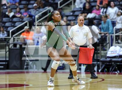 Thumbnail 3 in Cedar Park @ Wakeland (UIL 5A Volleyball Division II Final) photogallery.