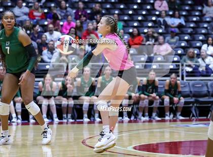 Thumbnail 2 in Cedar Park @ Wakeland (UIL 5A Volleyball Division II Final) photogallery.