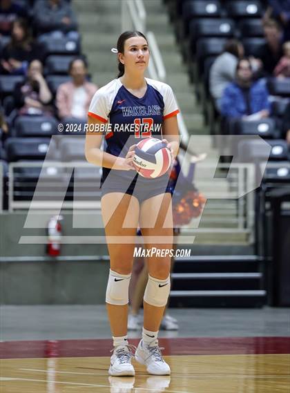 Thumbnail 1 in Cedar Park @ Wakeland (UIL 5A Volleyball Division II Final) photogallery.