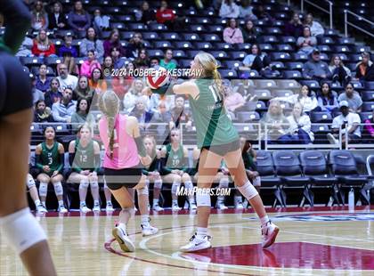 Thumbnail 1 in Cedar Park @ Wakeland (UIL 5A Volleyball Division II Final) photogallery.