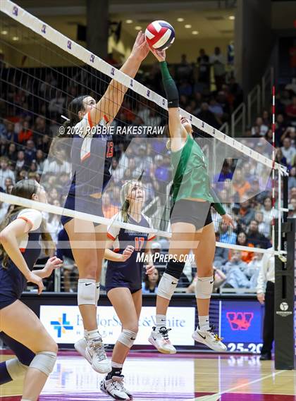 Thumbnail 3 in Cedar Park @ Wakeland (UIL 5A Volleyball Division II Final) photogallery.