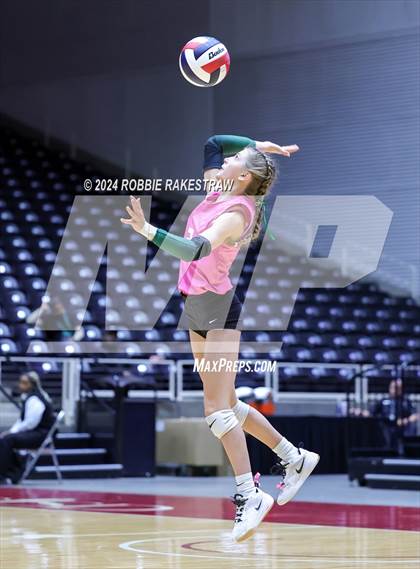 Thumbnail 3 in Cedar Park @ Wakeland (UIL 5A Volleyball Division II Final) photogallery.
