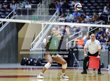 Thumbnail 1 in Cedar Park @ Wakeland (UIL 5A Volleyball Division II Final) photogallery.