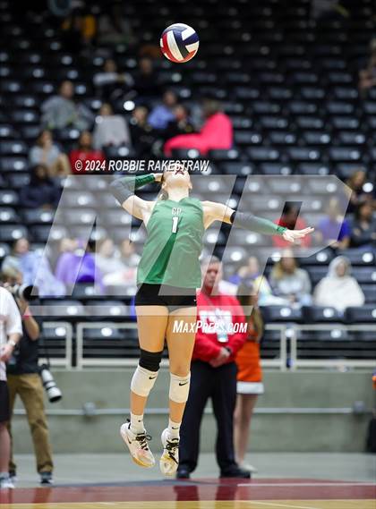 Thumbnail 3 in Cedar Park @ Wakeland (UIL 5A Volleyball Division II Final) photogallery.