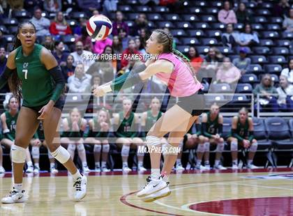 Thumbnail 3 in Cedar Park @ Wakeland (UIL 5A Volleyball Division II Final) photogallery.