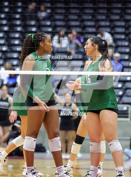 Thumbnail 3 in Cedar Park @ Wakeland (UIL 5A Volleyball Division II Final) photogallery.