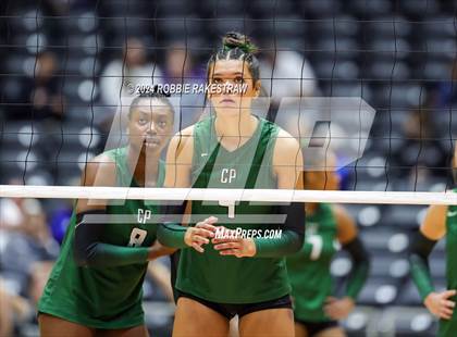 Thumbnail 3 in Cedar Park @ Wakeland (UIL 5A Volleyball Division II Final) photogallery.
