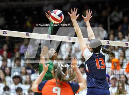 Thumbnail 3 in Cedar Park @ Wakeland (UIL 5A Volleyball Division II Final) photogallery.