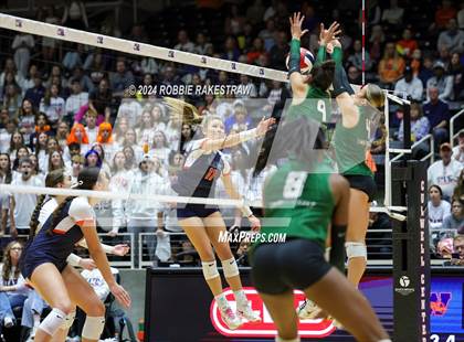 Thumbnail 2 in Cedar Park @ Wakeland (UIL 5A Volleyball Division II Final) photogallery.
