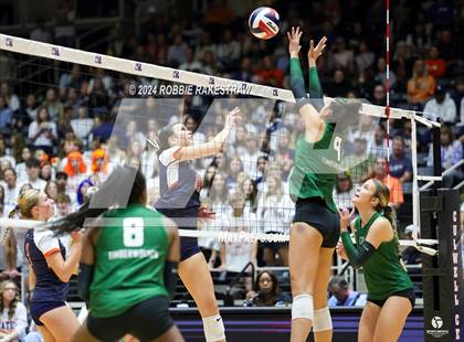 Thumbnail 3 in Cedar Park @ Wakeland (UIL 5A Volleyball Division II Final) photogallery.