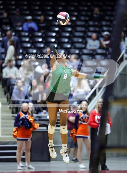 Thumbnail 1 in Cedar Park @ Wakeland (UIL 5A Volleyball Division II Final) photogallery.