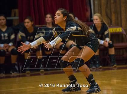 Thumbnail 2 in Brackett vs. Pleasanton (Arabian Round-up) photogallery.