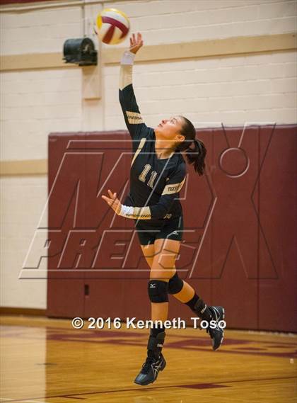 Thumbnail 1 in Brackett vs. Pleasanton (Arabian Round-up) photogallery.