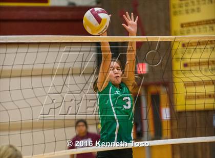 Thumbnail 3 in Brackett vs. Pleasanton (Arabian Round-up) photogallery.