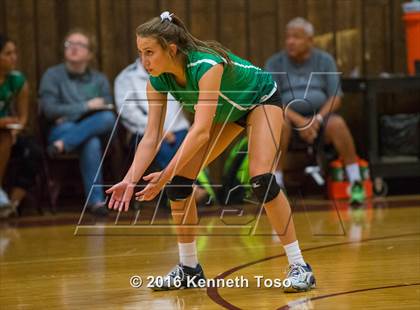Thumbnail 1 in Brackett vs. Pleasanton (Arabian Round-up) photogallery.