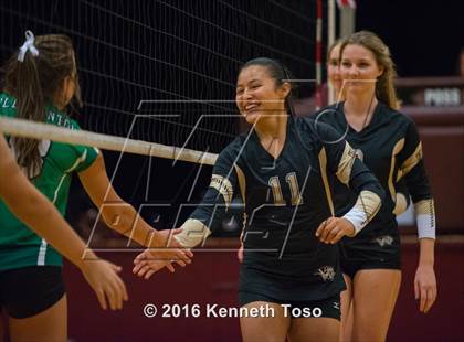 Thumbnail 2 in Brackett vs. Pleasanton (Arabian Round-up) photogallery.
