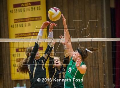 Thumbnail 1 in Brackett vs. Pleasanton (Arabian Round-up) photogallery.