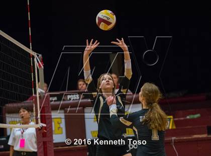 Thumbnail 3 in Brackett vs. Pleasanton (Arabian Round-up) photogallery.