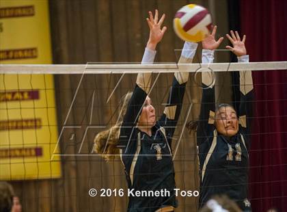 Thumbnail 1 in Brackett vs. Pleasanton (Arabian Round-up) photogallery.
