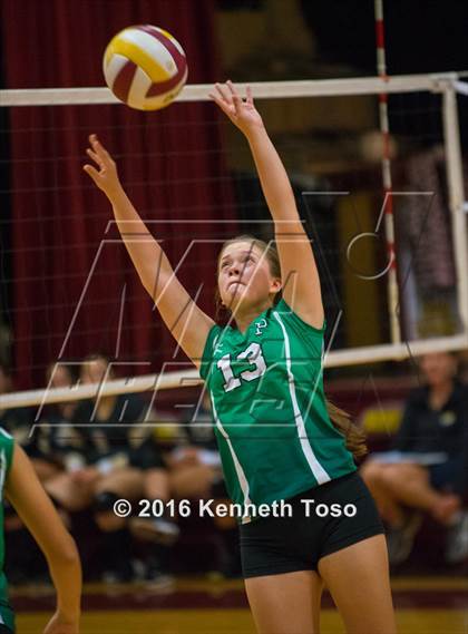 Thumbnail 1 in Brackett vs. Pleasanton (Arabian Round-up) photogallery.