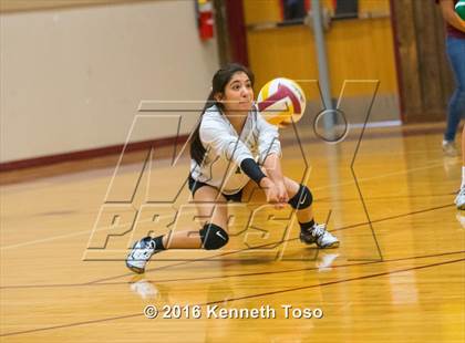 Thumbnail 3 in Brackett vs. Pleasanton (Arabian Round-up) photogallery.