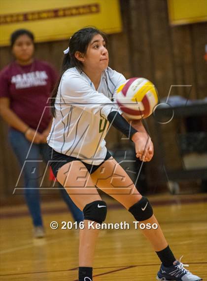 Thumbnail 2 in Brackett vs. Pleasanton (Arabian Round-up) photogallery.