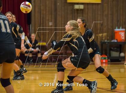 Thumbnail 1 in Brackett vs. Pleasanton (Arabian Round-up) photogallery.