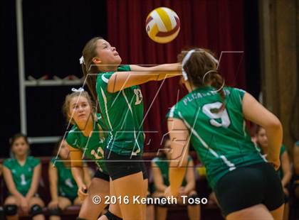 Thumbnail 1 in Brackett vs. Pleasanton (Arabian Round-up) photogallery.