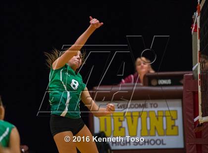 Thumbnail 2 in Brackett vs. Pleasanton (Arabian Round-up) photogallery.