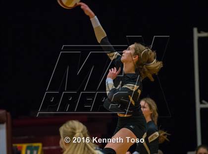 Thumbnail 3 in Brackett vs. Pleasanton (Arabian Round-up) photogallery.