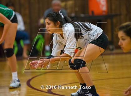 Thumbnail 3 in Brackett vs. Pleasanton (Arabian Round-up) photogallery.